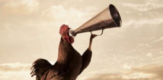 Η παραποίηση της πραγματικότητας αναφορικά με τον Αναπτυξιακό που επιχειρείται από συγκεκριμένους κύκλους