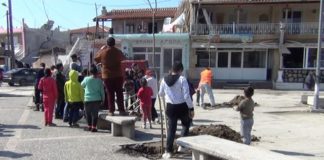 Μικροί μεγάλοι σε… πράσινη δράση στο Δροσερό