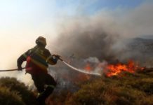 Υπό μερικό έλεγχο τέθηκε νωρίς το μεσημέρι η φωτιά που εκδηλώθηκε στα Κοινυρα Θάσου νωρίς το πρωί της τρίτης