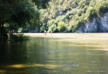 Κ. Δαλατσης : Επιτακτική η ανάγκη ολοκλήρωσης του μεγάλου αρδευτικού έργου