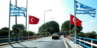 Συναγερμός για την έξαρση της λύσσας – Μπλόκο στα κατοικίδια από Τουρκία