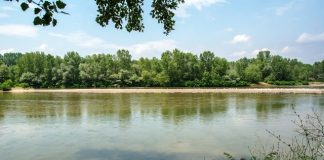 Νεκρός βρέθηκε ο Τούρκος πρόσφυγας που αναζητούνταν στον Έβρο