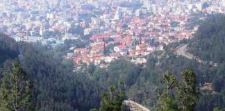 Άλλαζε η δασοπονική σύσταση του περιαστικου άλσους Ξάνθης