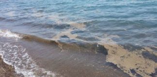 Γέμισαν με φυτοπλαγκτόν τα δίχτυα των αλιέων στο θρακικό πέλαγος