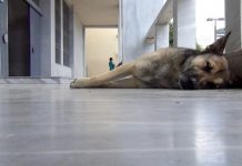 Γ. Χατζηθεοδωρου για εξώδικο Φερτουν «Ούτε οι απειλές ούτε οι εκβιασμοί μπορούν να μας τρομάξουν»