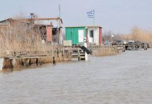 Πτώμα αγνώστων στοιχείων βρέθηκε την πέμπτη στην παρεβρια περιοχή Πετράδων Διδυμοτείχου, λίγα μετρά από τον ποταμό Έβρου