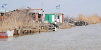 Πτώμα αγνώστων στοιχείων βρέθηκε την πέμπτη στην παρεβρια περιοχή Πετράδων Διδυμοτείχου, λίγα μετρά από τον ποταμό Έβρου
