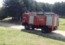 Λήξη της αντιπυρικής περιόδου με τον δασικό πλούτο αλώβητο