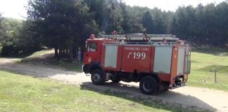 Λήξη της αντιπυρικής περιόδου με τον δασικό πλούτο αλώβητο
