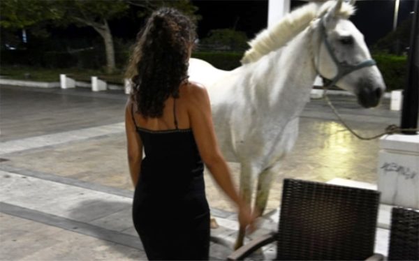 Άλογο... βγήκε βόλτα στην πλατεία του φάρου στην Αλεξανδρούπολη