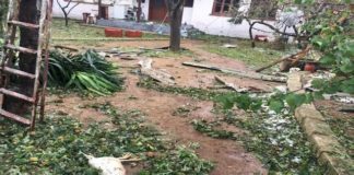 Τις πληγές τους μετρούν Ροδόπη και Έβρος μετά τη καταστροφική μανία της φύσης