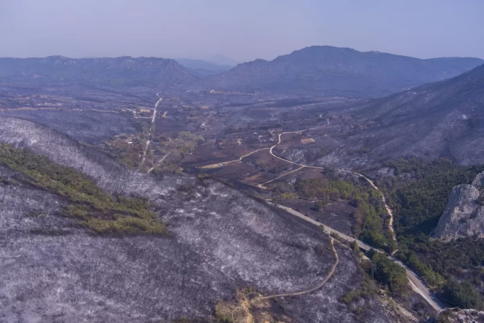 Έβρος: Αντιδράσεις για την αδειότηση ανεμογεννητριών στις καμένες περιοχές !