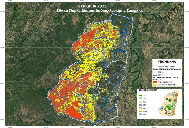 Αποκαρδιωτικός απολογισμός – Κάηκε το 58% του δάσους της Δαδιάς