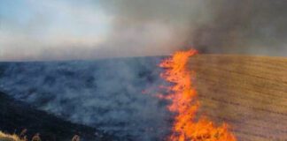 Είδηση σοκ στην Ξάνθη: Σύλληψη υπόπτου για εμπρησμό σε 11 πυρκαγιές στη Γενισέα